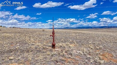 403 Jasper Way, Hartsel, CO 80449 - photo 5