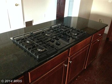 43047 Castlebar St, Chantilly, VA 20152 - photo 7