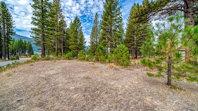 503 Redtail Loop, Clio, CA 96106 - photo 2