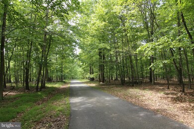 2420 Henson Dr, Marriottsville, MD 21104 - photo 4