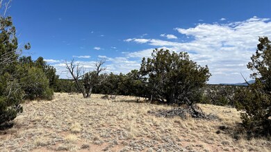 0 Warpath Rd unit 23912666, Quemado, NM 87829 - photo 4