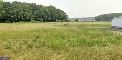 7.7 Vacant Lot Andrewville Rd, Harrington, DE 19952 - photo 5