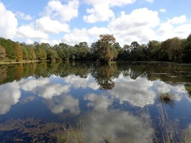 304 Waterside Dr, Quitman, GA 31643 - photo 3