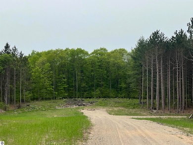 TBD Theron Rd unit D, Traverse City, MI 49685 - photo 4