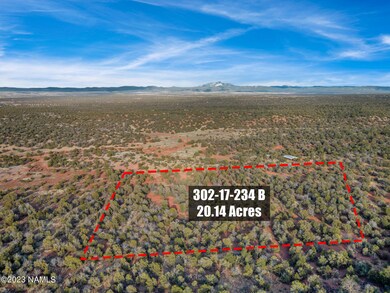 0 W Ricardas Way unit 153 196940, Ash Fork, AZ 86320 - photo 2