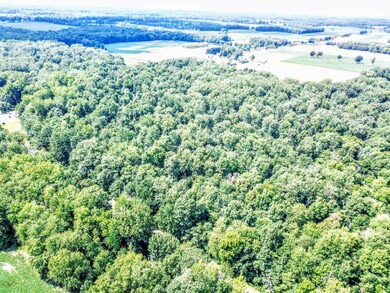 DJI_0248