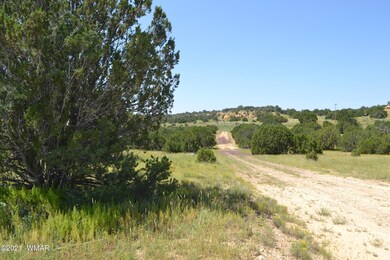 Vernon Lots 019