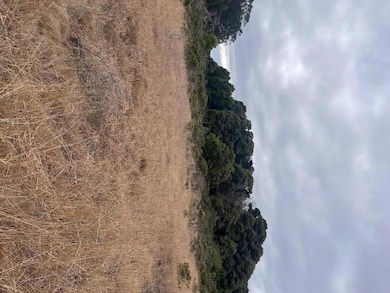 200 Dolores Ave, Half Moon Bay, CA 94019 - photo 4