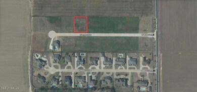 Screen Shot 2025-08-19 at 10.08.36 AM