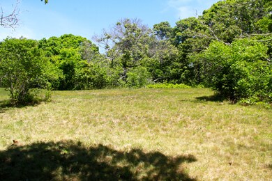 4 South Rd, Chilmark, MA 02535 - photo 6