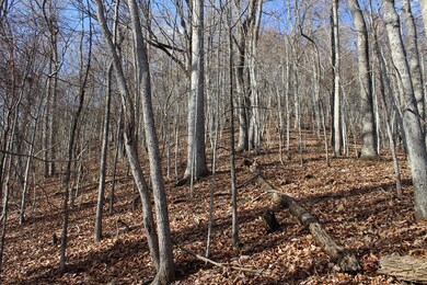 00 W Old Murphy Rd, Franklin, NC 28734 - photo 5