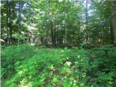 36 Pollard Rd, Lincoln, NH 03251 - photo 3