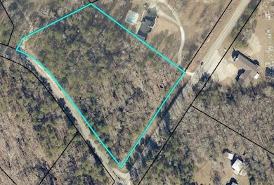 000 Georgia 220, Lincolnton, GA 30817 - photo 5