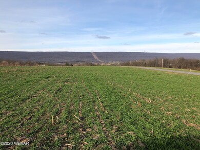 978 Cooley Rd, Allenwood, PA 17810 - photo 5