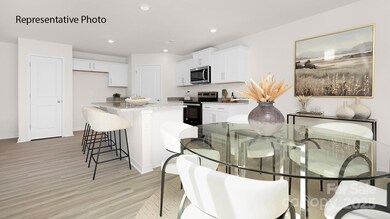 1036 Horizon Ln, Chester, SC 29706 - photo 5