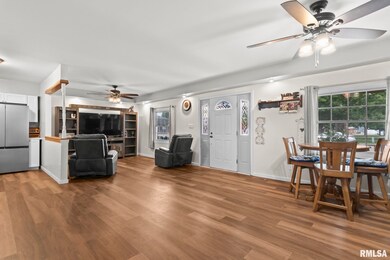 137 E Adams St, Greenview, IL 62642 - photo 7