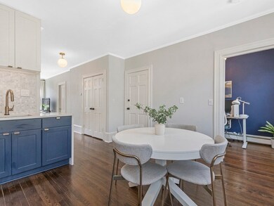 22 E Springfield St unit 3, Boston, MA 02118 - photo 4