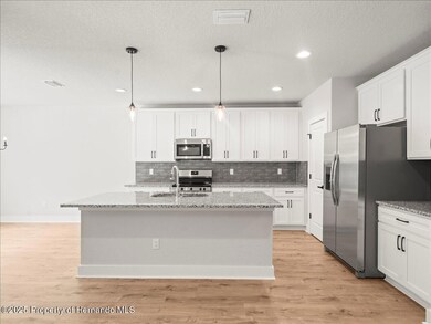 14438 Chimney Swift Rd, Weeki Wachee, FL 34614 - photo 6