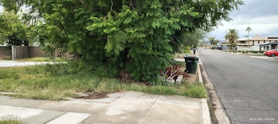 2810 N 29th Place, Phoenix, AZ 85008 - photo 2