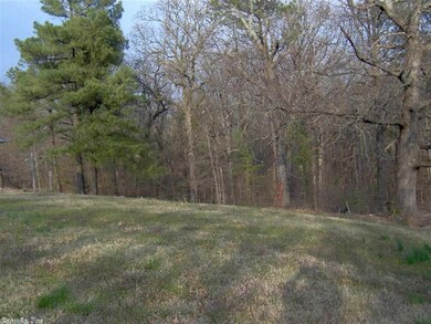 246 County Road 121, Bono, AR 72416 - photo 7
