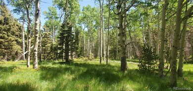 Lot 3085 Henderson Dr unit 3085, Fort Garland, CO 81133 - photo 6