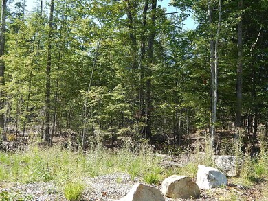 0 Fosterville Rd unit 1468005, Bridgton, ME 04009 - photo 7