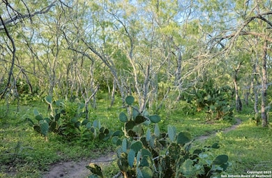 000 County Line Rd # 120, Beeville, TX 78102 - photo 2