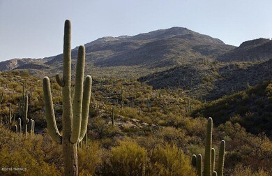 MOUNTAIN VIEWS