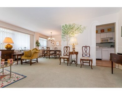 Hammond Park Condominiums unit 405, Chestnut Hill, MA 02467 - photo 5