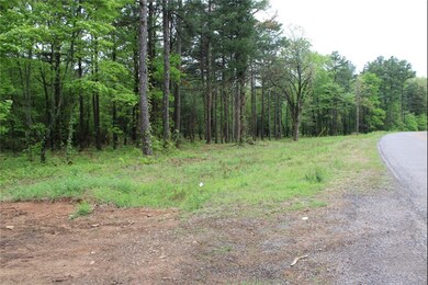 0 4540 Rd unit 1306170, Ozone, AR 72854 - photo 7