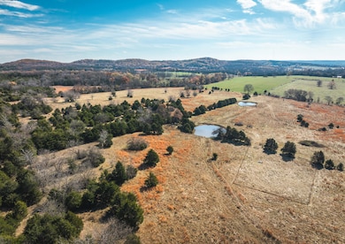 DJI_20241116120319_0511_D