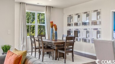 2453 Polaris Path unit Lot 254- Aria A, Myrtle Beach, SC 29577 - photo 4