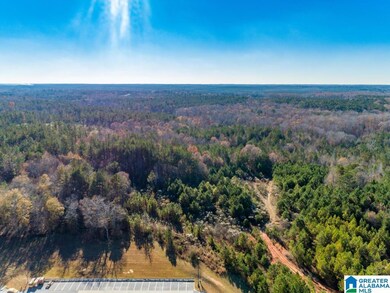 1374 E Highway 280 E unit 1374, Alexander City, AL 35010 - photo 5