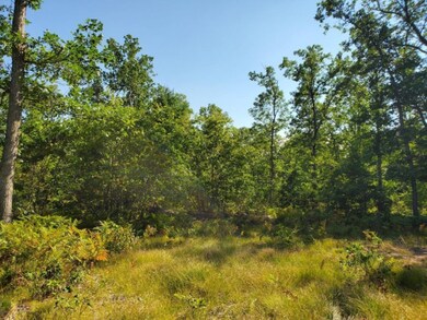 0 S Peacock Trail, Baldwin, MI 49304 - photo 2