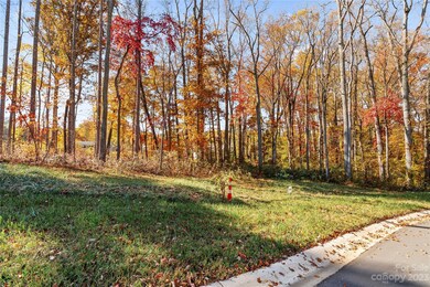 47 Scott Meadows Dr, Asheville, NC 28806 - photo 2