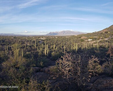 650BLK N Camino de Oeste unit Lot C, Tucson, AZ 85745 - photo 5