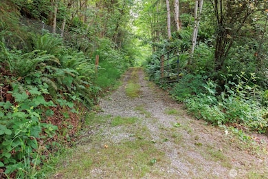 0 212th St SE unit NWM2389012, Snohomish, WA 98296 - photo 3