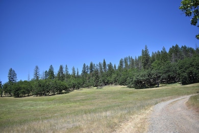 477 Kellogg Gulch Rd, Hayfork, CA 96041 - photo 3