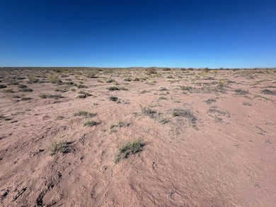 Tbd Unnamed Dirt Rd, Sun Valley, AZ 86025 - photo 3