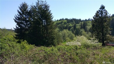 0 Holcomb Rd unit 928424, Napavine, WA 98532 - photo 3