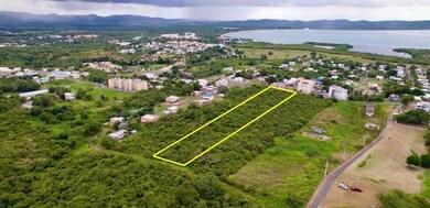SR-307 KM 7.6 Pedernales Ward Lot 2 unit (D), Cabo Rojo, PR 00623 - photo 3