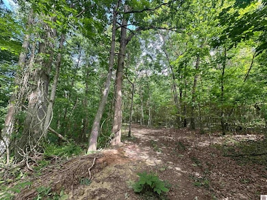 1 Timber Ridge Dr unit and Smith Grove Subd, Paducah, KY 42001 - photo 2