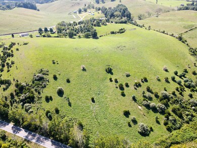 DJI_0944