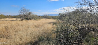 TBD S Stephanie Place, Hereford, AZ 85615 - photo 2