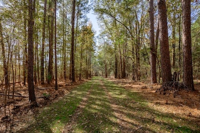 0 Flint Hill Rd unit 23523957, Ridgeway, SC 29130 - photo 6