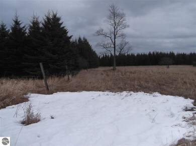 00 Galion Rd, Hale, MI 48739 - photo 5