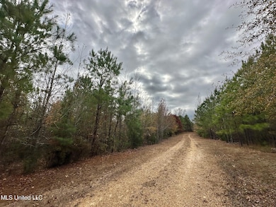 5 County Road 3122, McCool, MS 39108 - photo 5