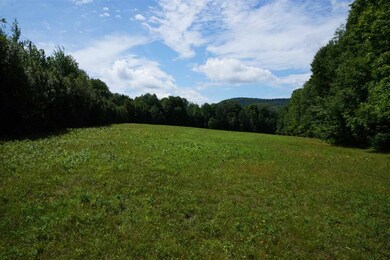 0 Route 302 and Heath Brook Rd unit 4710648, Groton, VT 05046 - photo 4