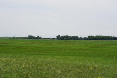 Ainsworth unit NE 69210, Ainsworth, NE 69210 - photo 4