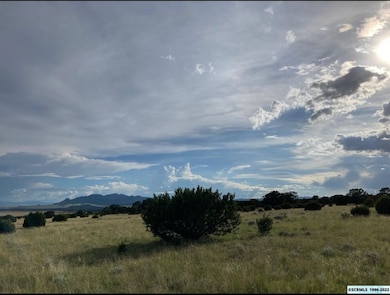 19 Coyote Trail unit 181, Datil, NM 87821 - photo 4